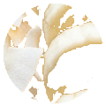 Banana Slice