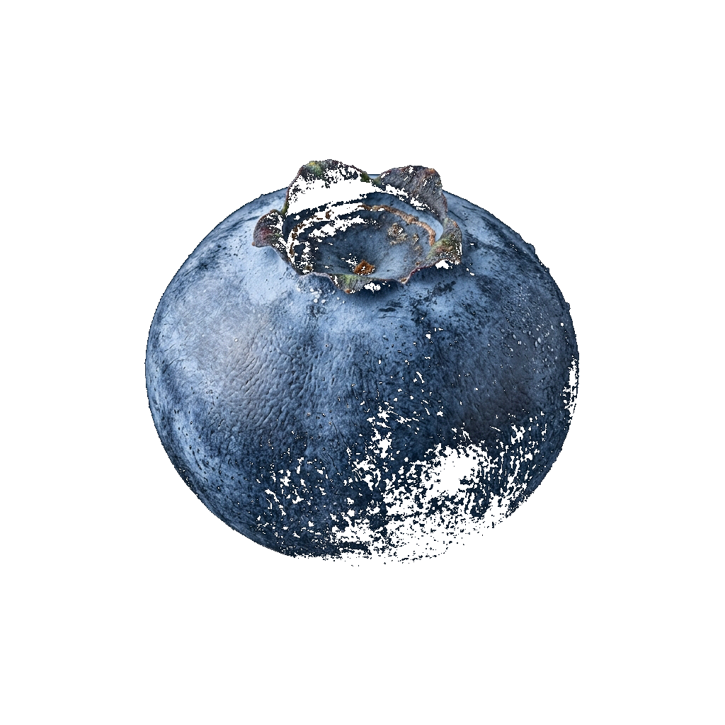 Blueberry